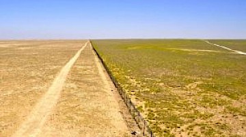 Overgrazing, desertification and the root causes of Syria's war